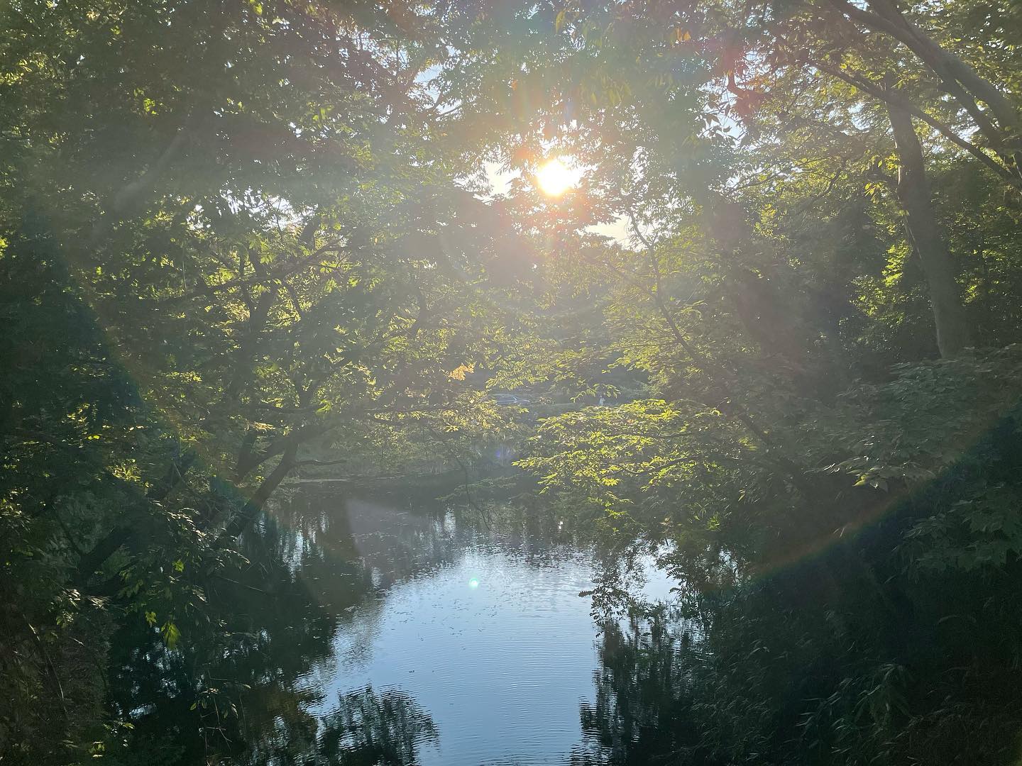 오랜만에 업로드😂
저는 정말 바쁜 연말과 연초를 보내고 있어요! 
인친님들 모두 2021 잘 보내주고
2022 잘 맞이하셨죠?👋🏻👋🏻

새해니까 (사실 걍 생존신고👀)
오늘은 먹스타가 아닌
불국사 산책 사진들을 올려봐요〰️
감성감성하쥬? 모두 눈정화 하시고 
복 쓸어 담으세용❤️❤️❤️

🌸더 많은 사진은 블로그

#꽃이야 #경주여행 #불국사