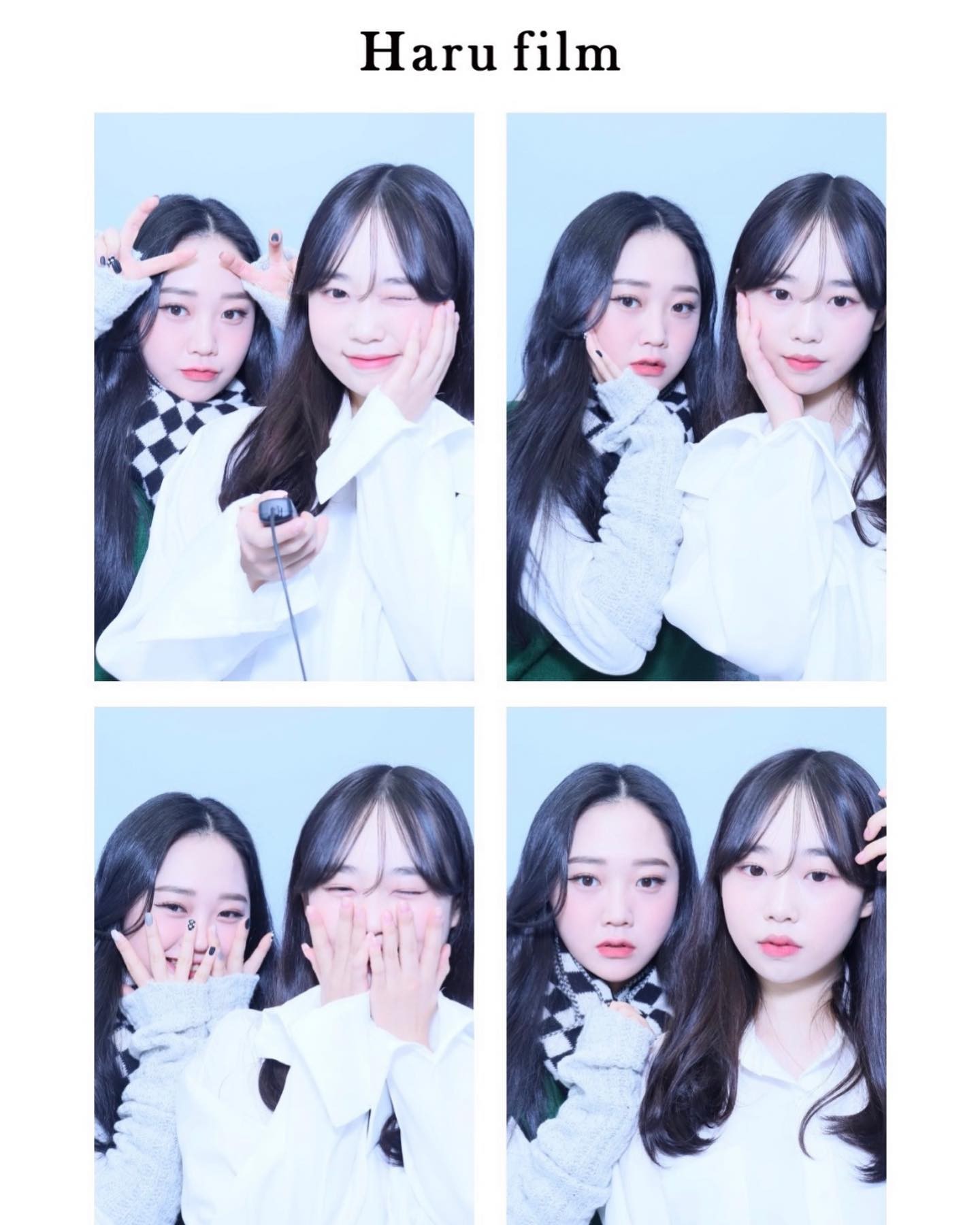 내 생일날 나 보러 와준 똥꼬랑 🤍