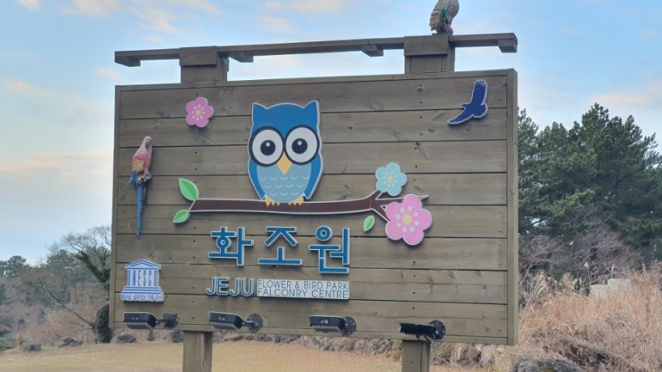 제주아이와가볼만한 제주동물원 화조원