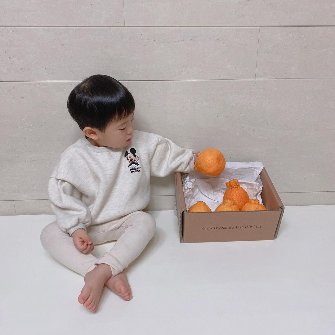 𝘨𝘢𝘰𝘯 𝘥𝘢𝘪𝘭𝘺 on Instagram: “#협찬 ㅤㅤㅤ ㅤㅤ 아이부터 어른까지 좋아하는 한라봉 🍊🍊 ㅤㅤㅤ ㅤㅤ 요즘 가온이 간식으로 주고 있는데 맛있는지 순식간에 하나를 다 먹더