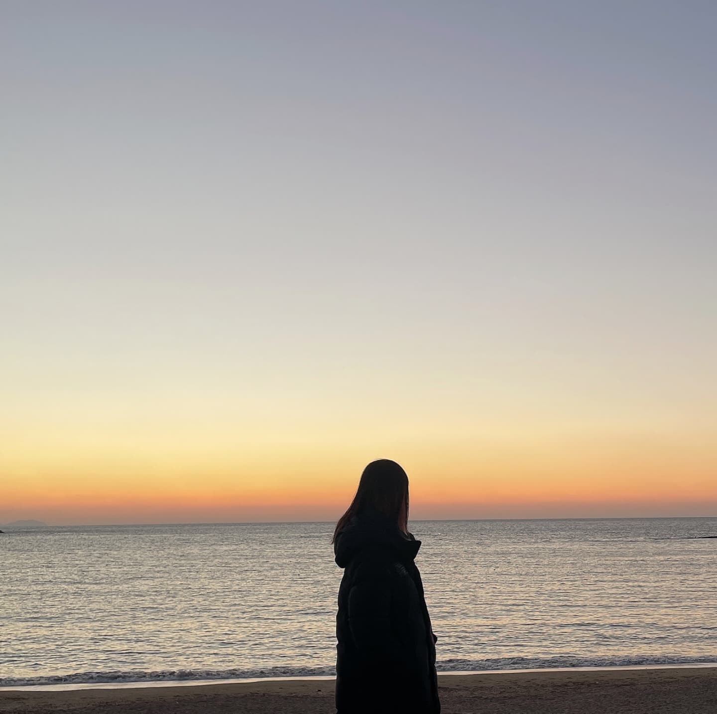콘텐츠