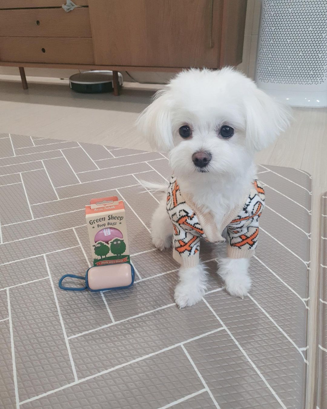 🤍오하늘🤍 on Instagram: “#협찬 안녕 내가 오늘은 완전 꿀템인 스윗픽배변봉투를 소개해 주려려고 해!! 마지막 영상에 보다시피 이 배변봉투는 물에 녹는 성분을 가지고 있어! 지금까지의
