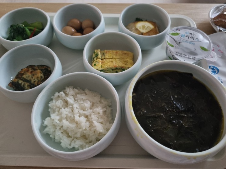 제왕절개 회복/통증/모유수유 [호산여성병원 백수진원장님/5박6일 입원후기]