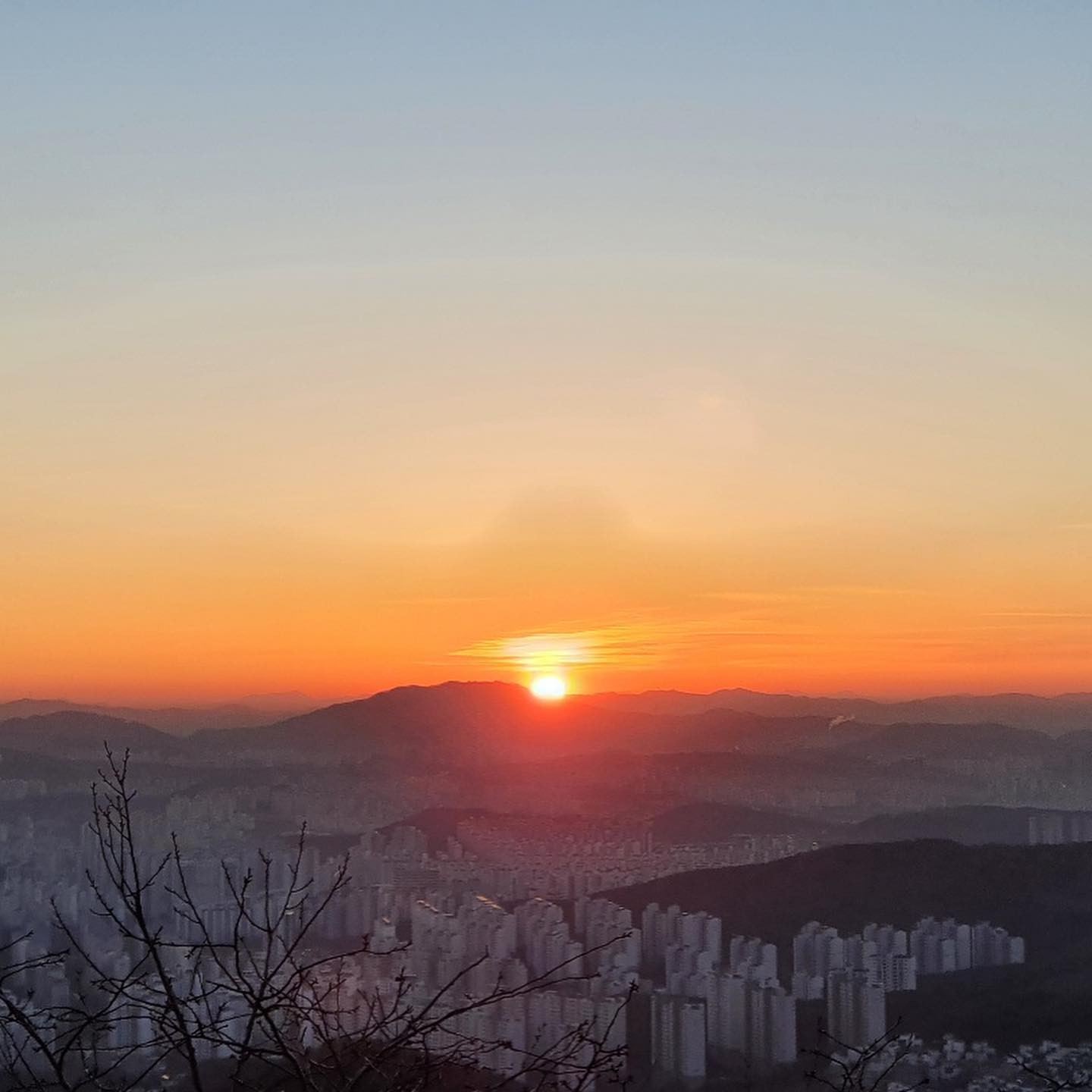 올 해 새해 소망은 매년 입버릇 처럼 빌던 더 행복하게 해주세요! ! 가 아닌 내가 마주할 기대도, 실망도, 즐거움도, 불안함도, 기쁨도, 외로움도 모두 나의 감정으로 오롯이 생각하고 느끼는 내가 되게 해달라고 빌었다. 365일 동안 나에게 찾아 올 많은 일과 감정을 더 치열하게 마주하고  또 담담하게 흘려보낼 수 있는 한 해가 되길.
작은 동요에도 흔들릴지언정 언제 그랬냐는 듯 꺄르르 웃을 수 있길

벌써 한달이 지났지만 
남은 11달 잘 지내보자..🌝