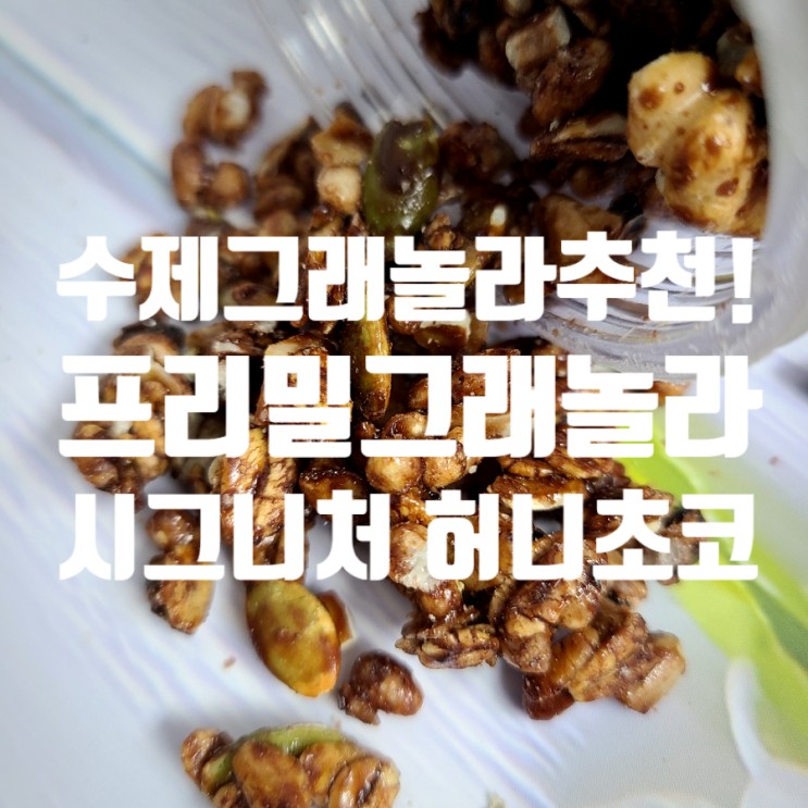 수제그래놀라 추천 프리밀 그래놀라 시그니처 허니초코!