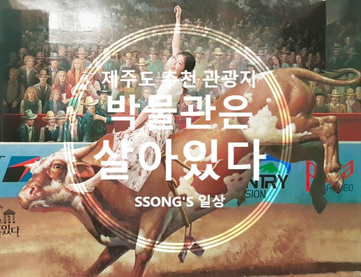 [제주도 실내 관광지] 여행 가면 남는 건 사진뿐! 사진 찍기 좋은 곳 '박물관은 살아있다'