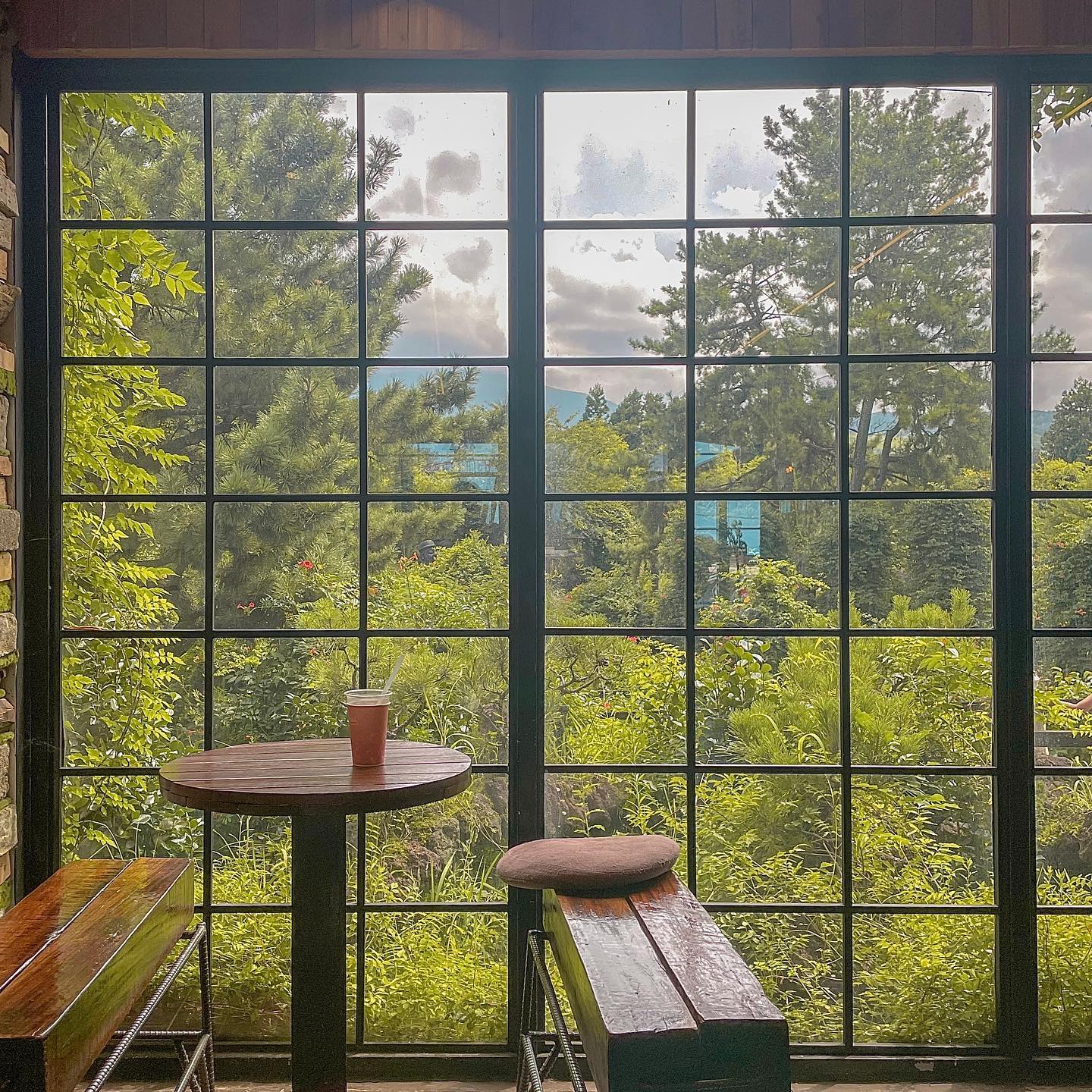 콘텐츠