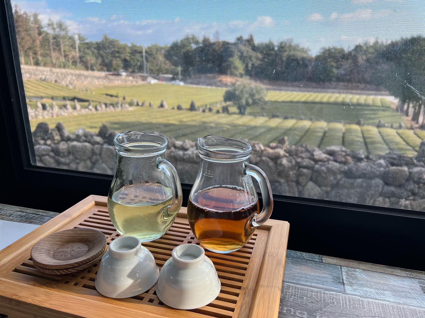 [제주🍵]

#서귀다원

📍제주 서귀포시 516로 717
🏷 입장료 5.0 (녹차 제공)

이번 제주도 여행의 가장큰 아쉬움은 날씨 ☁️
흐린 날이 더 많았지만 비 안온게 어디!!
자연힐링을 좋아해서 가게된 이곳은
서귀다원 녹차밭🌱
입구에서 입장료를 받고 녹차를 제공받을 수 있다
쌀쌀한 날씨탓에 녹차밭 구경을 빠르게 마치고
녹차 한잔으로 분위기 있는 시간을 가졌다 :)
두 종류의 녹차가 제공되는데
진한 녹차가 더 취향이었던 것 같당 ㅎㅎ
5시에는 마감이니 참고하시고 방문해보세용~~