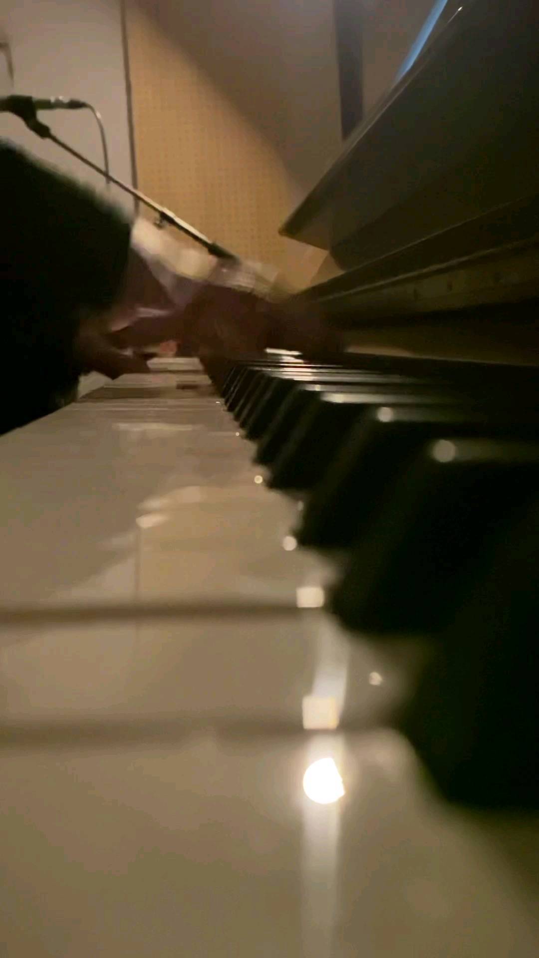 Watch this reel by lisianthus.allium on Instagram