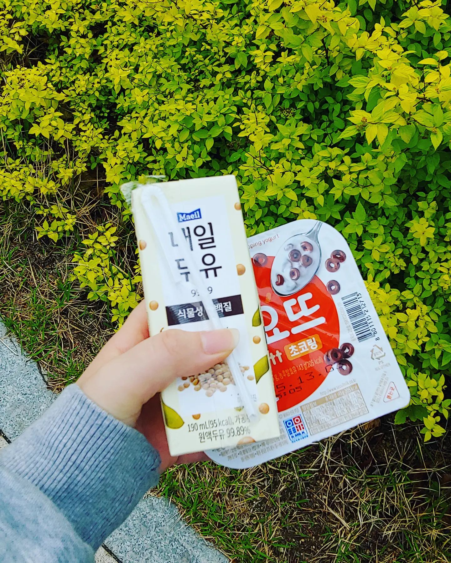 다이어트 시작ㅜ
I'm on a diet •᷄⌓•᷅