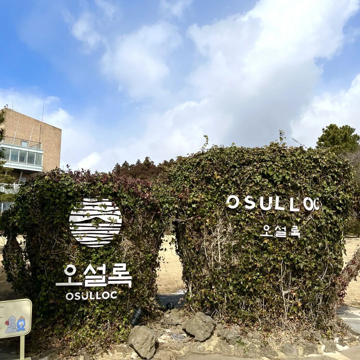 녹차밭🌿

#오설록티뮤지엄 #오설록 #오설록티하우스 #제주오설록 #제주오설록티뮤지엄 #제주여행 #제주녹차 #제주녹차밭 #녹차밭 #녹차 #티백 #티백추천 #오설록티백 #오설록녹차밭 #오설록제주