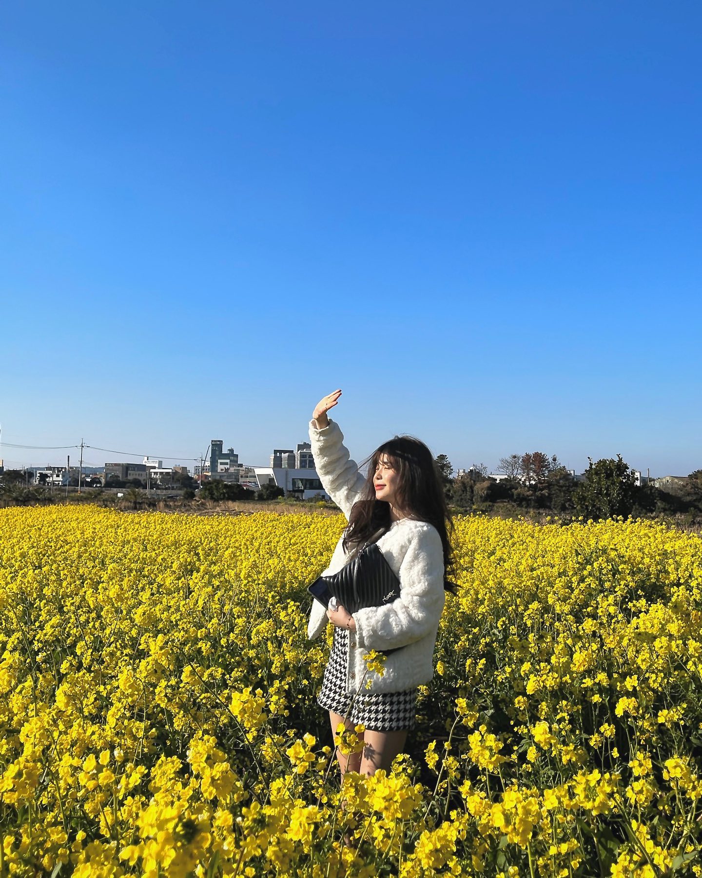 🌼