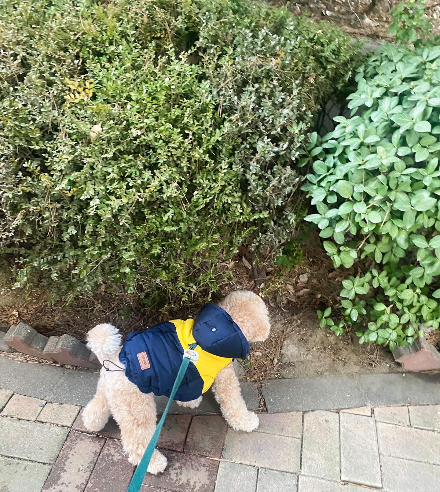 궁그매궁그매🌿