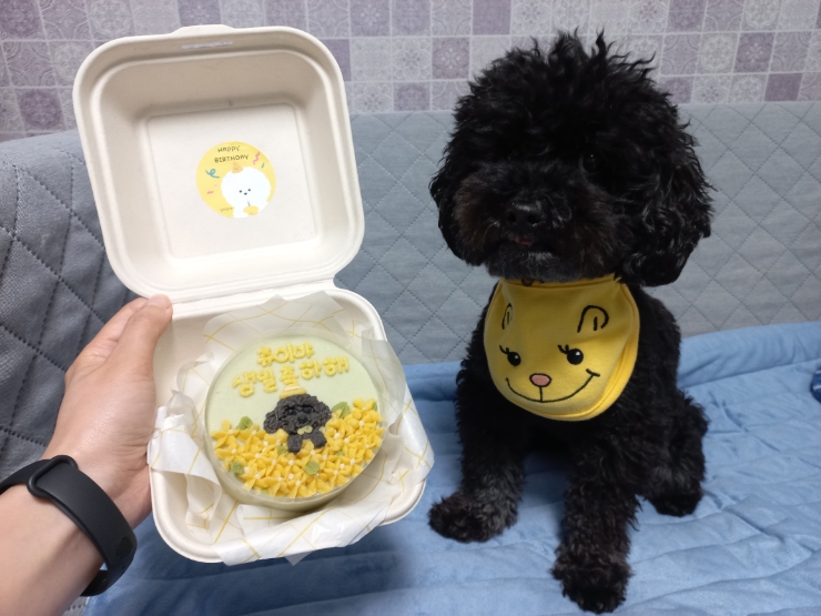 부천강아지케이크 간식주까 : 반려동물 커스텀 생일케이크