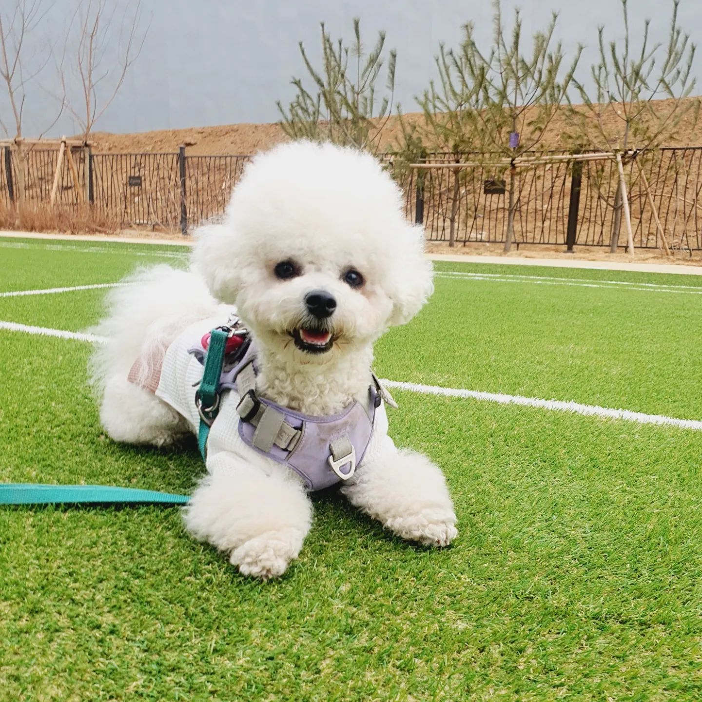 칭구들 모두 오랜만이야!
요즘 날씨가 너무 따수워서 넘너무 죠아❤❤
다들 즐건 주말 보내고 이써?🥰