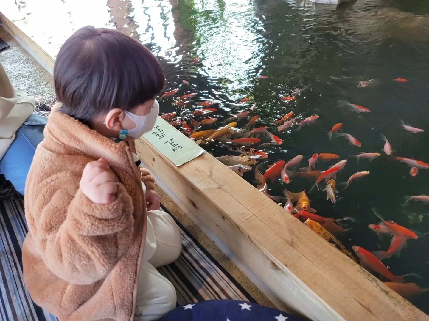 #리프플레이스 
.
요즘 잉어에 빠지신 조카님덕에 잉어먹이 체험하는곳 찾아서 오픈런🏃‍♀️
잉어먹이주고 동물먹이도 주고😊
도마뱀은 무서워서 엄마 껌딱지
온몸으로 붙어있는구나🤣
나중에 또가쟈💕