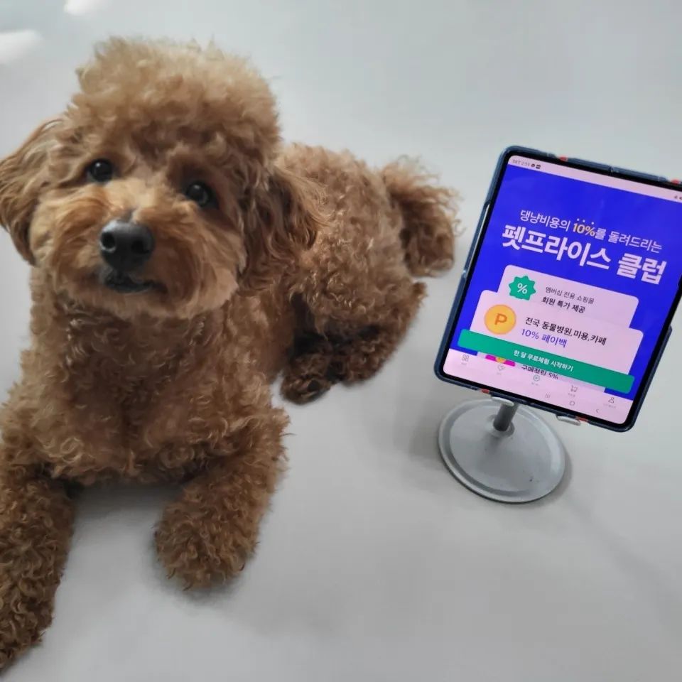 전국 #동물병원 #애견동반카페 #애견미용 다녀온 후 영수증만 인증하면 10%를 페이백 받을 수 있는 어플 #펫프라이스클럽 추천합니다 😛😛

현금처럼 사용할 수 있는 페이백 포인트로 #강아지간식 을 구매할 수도 있어요 😝😝 넘나 좋은 어플 아닙니꽈...???

동물병원 진료비 견적 서비스도 있어서 비용부담도 덜해질 것 같아요!

펫클몰에서 포인트로 간식 사서 뚜비 먹였는데 너무너무 잘 먹네요 ㅎㅎㅎ 

🌈 가입하실 때 초대코드를 입력하면 5,000 포인트를 받을 수 있습니당!
저희 코드는 🏵 WM_DQM2WM 🏵 예요 
초대코드는 펫프라이스 마이페이지에서 친구초대를 누르시면 고유코드를 복사하실 수 있어요! 5,000포인트와 무료체험 해보실 분들은 코드입력해보세요😆😆

반려인분들에게 아주 유용한 어플이 될 것 같아요💗💗

#펫프라이스클럽
petprice_club
petprice_app