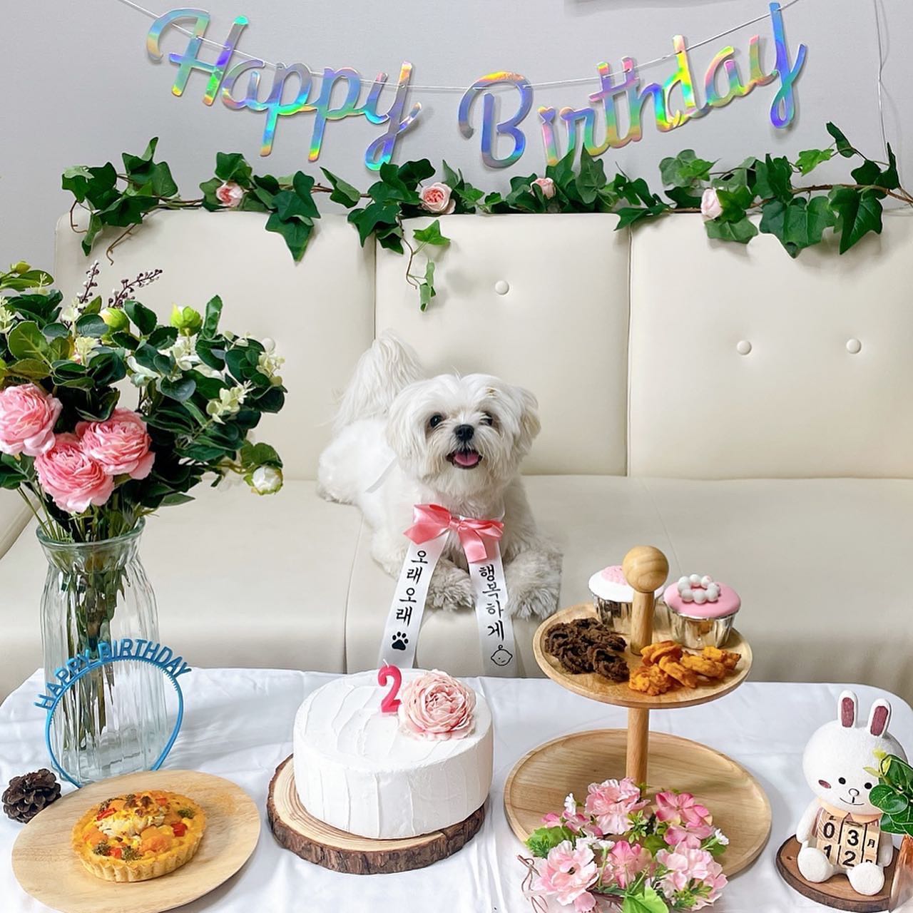 #20220312
세상에서 젤 예쁜 우리 아가 생일 축하해🐶🎉🎂🎊🥳👏 엄마가 세상에서 젤 잘한 일은 너를 데려온 일이야! 우리 아가 엄마랑 같이 건강하게 행복하게 살자❤️ 사랑해 우리 복덩이😇🧧