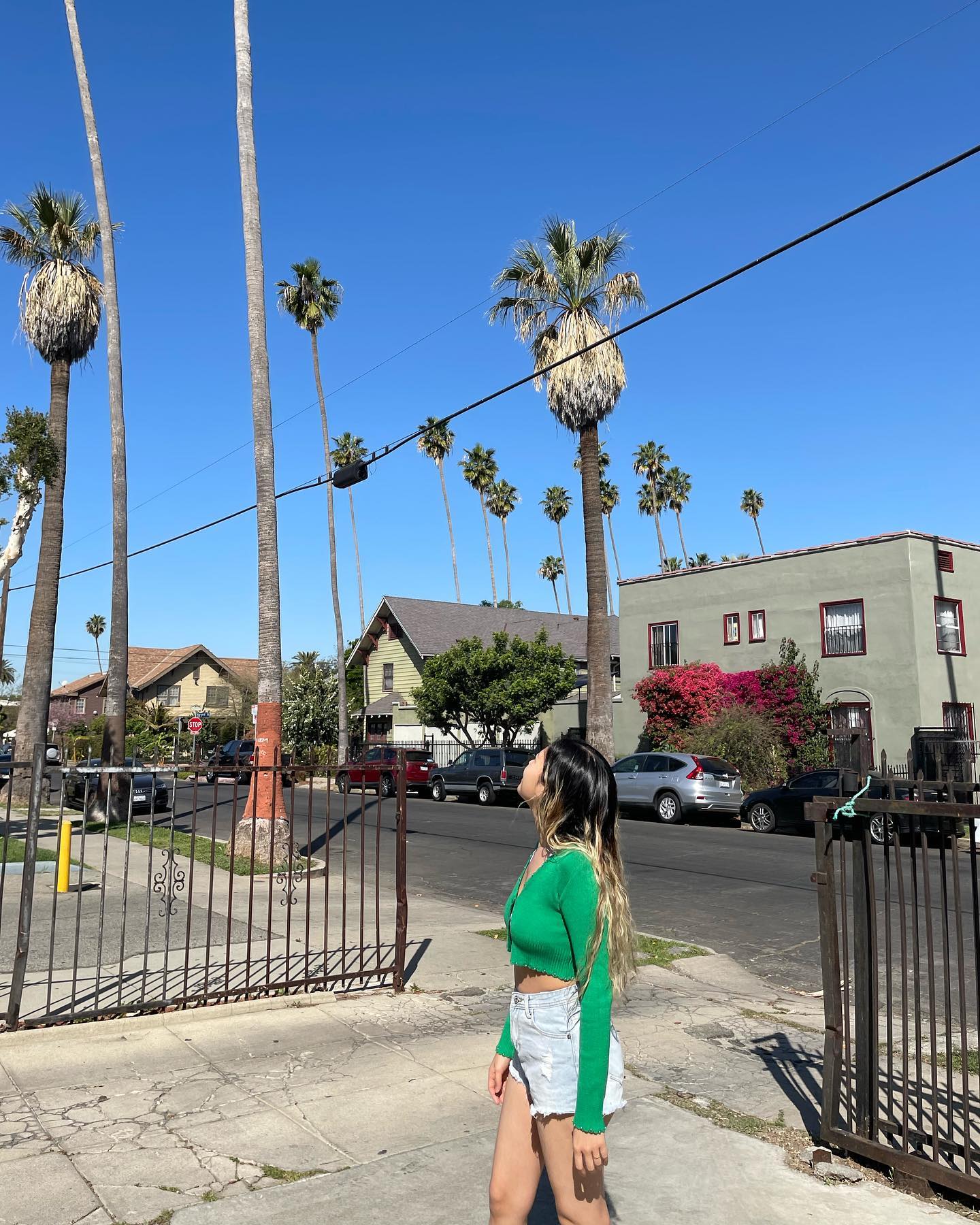 🌴 #palmtrees #La