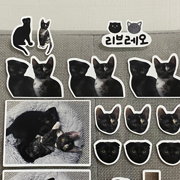 [스프몰 스티커제작] 반려묘 굿즈 리무버블 씰스티커 만들기