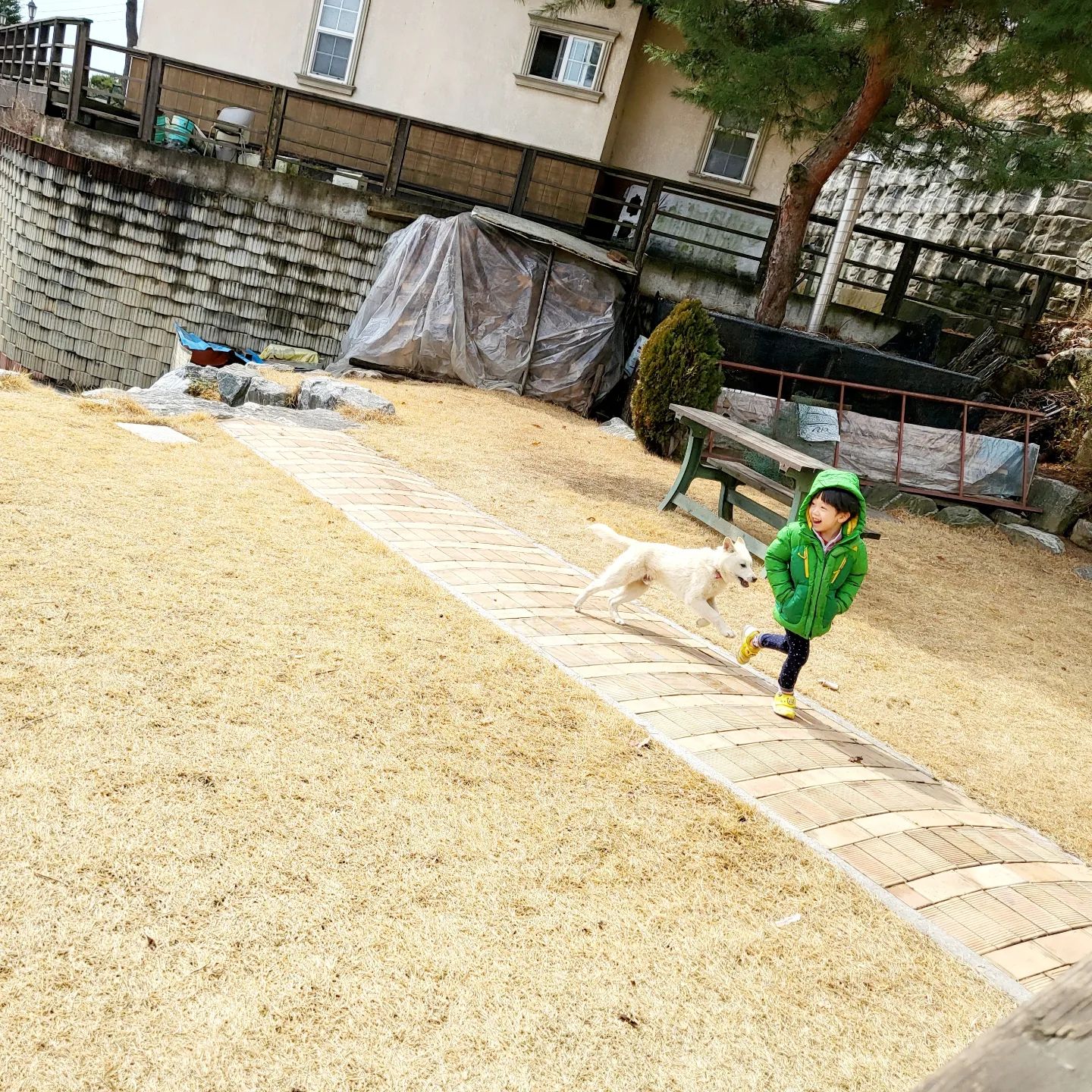 오랜만에 만난 쫑이~ 
아직은 춥지만 함께 뛰고나니 땀난다고 하는 밍이
같이 달리는것 같지만 
따로 뛰는중 
하지만 같이달린다 생각중이다.
뛰어 해도 너무빠른 진돌이는 이미 저앞에
그래도 즐거운 주말 
다음에 보면 더커있겠지. 

#밍 #강아지 #진돌이 #같이달리는거아님 #혼자만 #함께한다 #생각중 #너만만족 #그럼됐다 #3개월견생 #진돗개 #산책