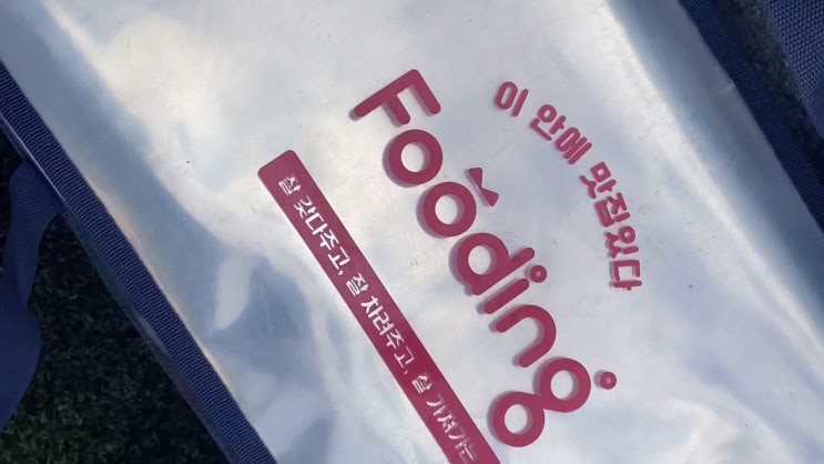 도시락배달, 도시락정기배송 으로 식단 해결 '푸딩' 사용후기