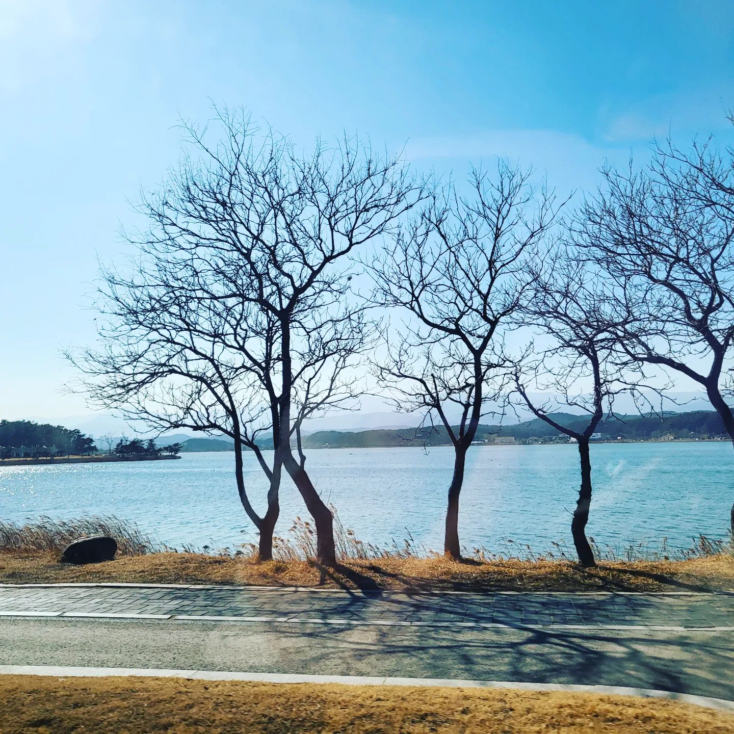 날이 풀리고 있다.......

따뜻한 봄날이 오긴 오네

#잘풀리는순간 #잘풀리는집 #순간을담다