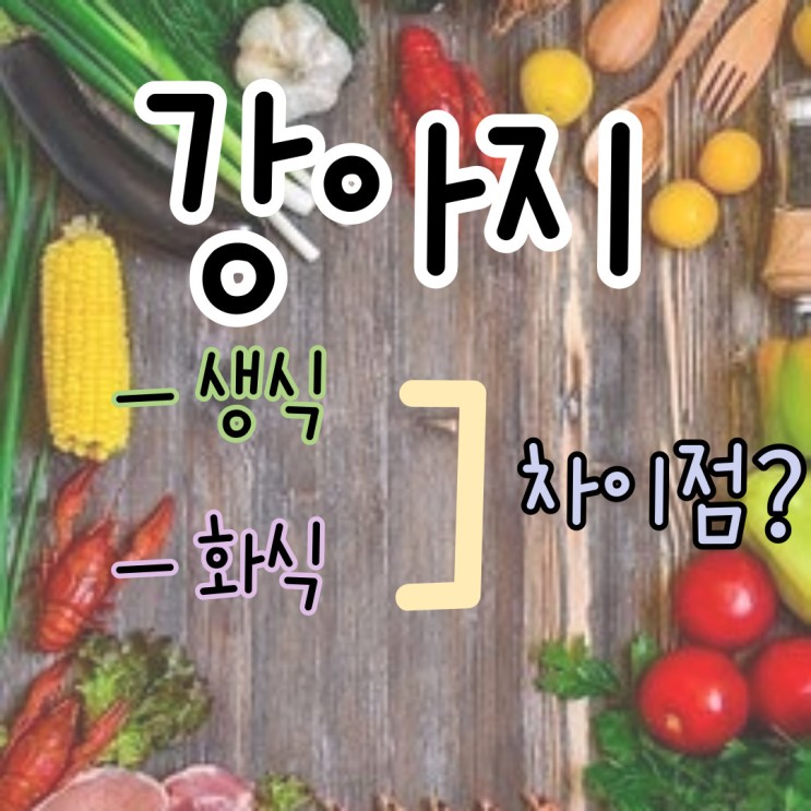 강아지 생식 , 화식 차이점은? / 강아지 생식 장점 단점 / 강아지 화식 장점 단점