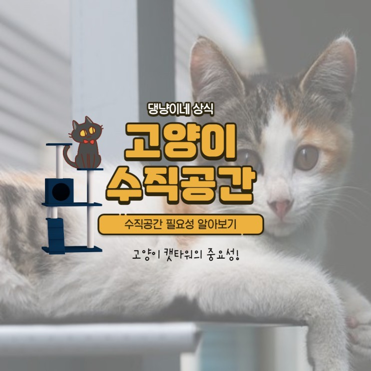 고양이 수직공간 중요성 / 고양이 캣타워 필요성 / 고양이 수직 / 고양이 캣타워가 필요한가?/ 캣타워위치