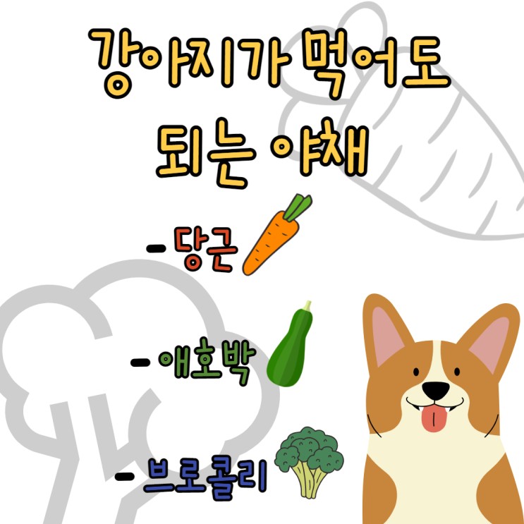 강아지가 먹어도 되는 야채 / 강아지 당근 / 강아지 애호박 / 강아지 브로콜리/ 강아지 화식 야채 추천