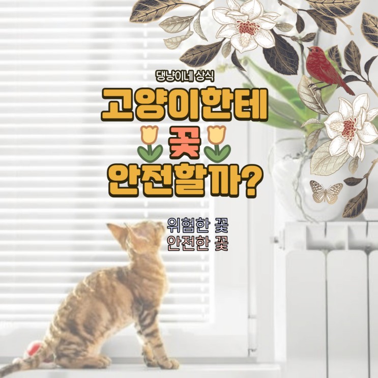 고양이한테 위험한 꽃 / 고양이한테 안전한 꽃 / 고양이한테 꽃 안전할까?