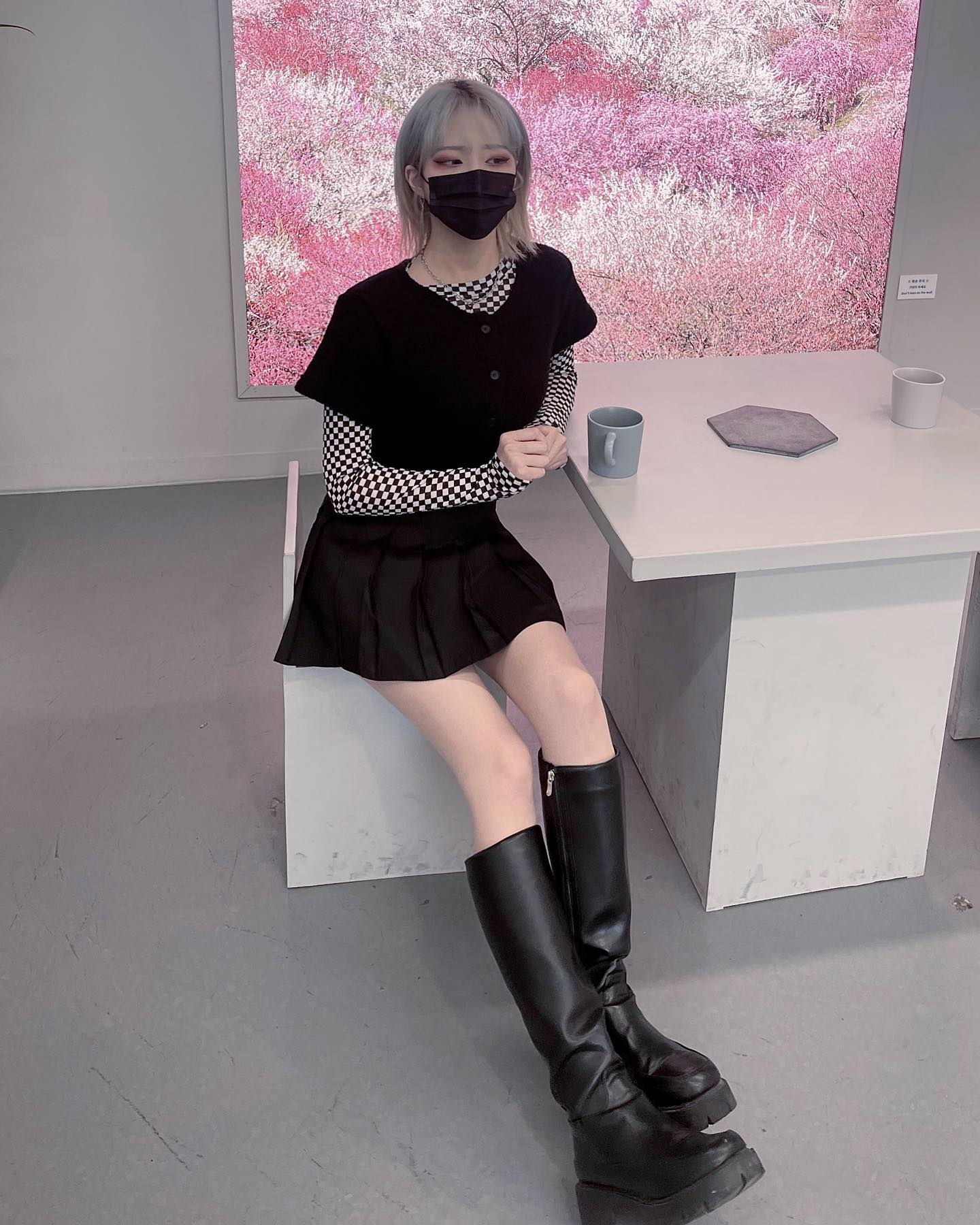 🌸🌷