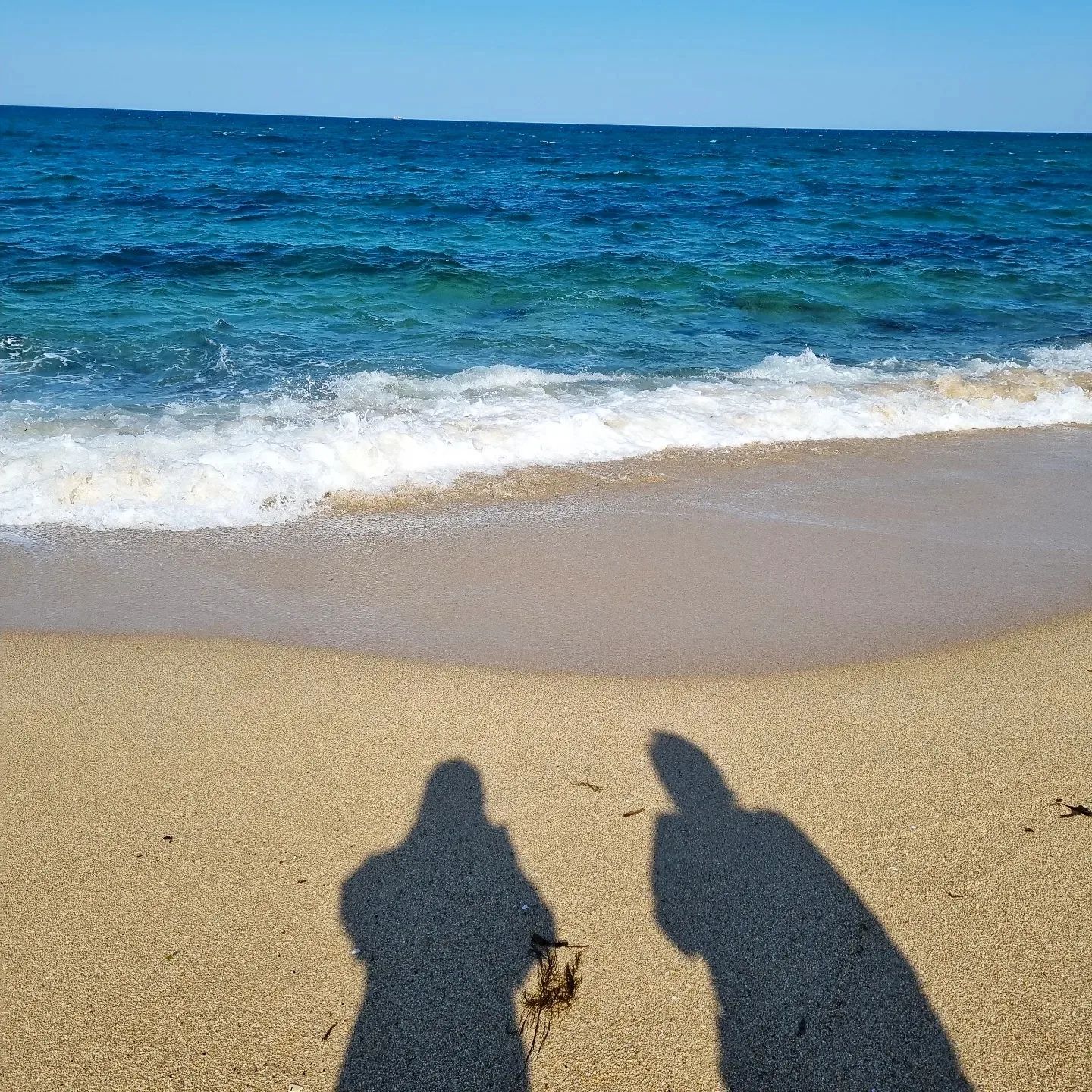 강릉여행 🐳
벌집 장칼국수 🍜 
안목해변 🏖
배니닭강정 🐔
중앙시장 횟집 🐟 
안목해변 카페거리 ☕ 

#강릉여행 #강릉 #강릉맛집 #벌집 #배니닭강정 #중앙시장 #안목해변 
#바다 #회 #강릉가볼만한곳 #강릉
#카페거리 #카페투어