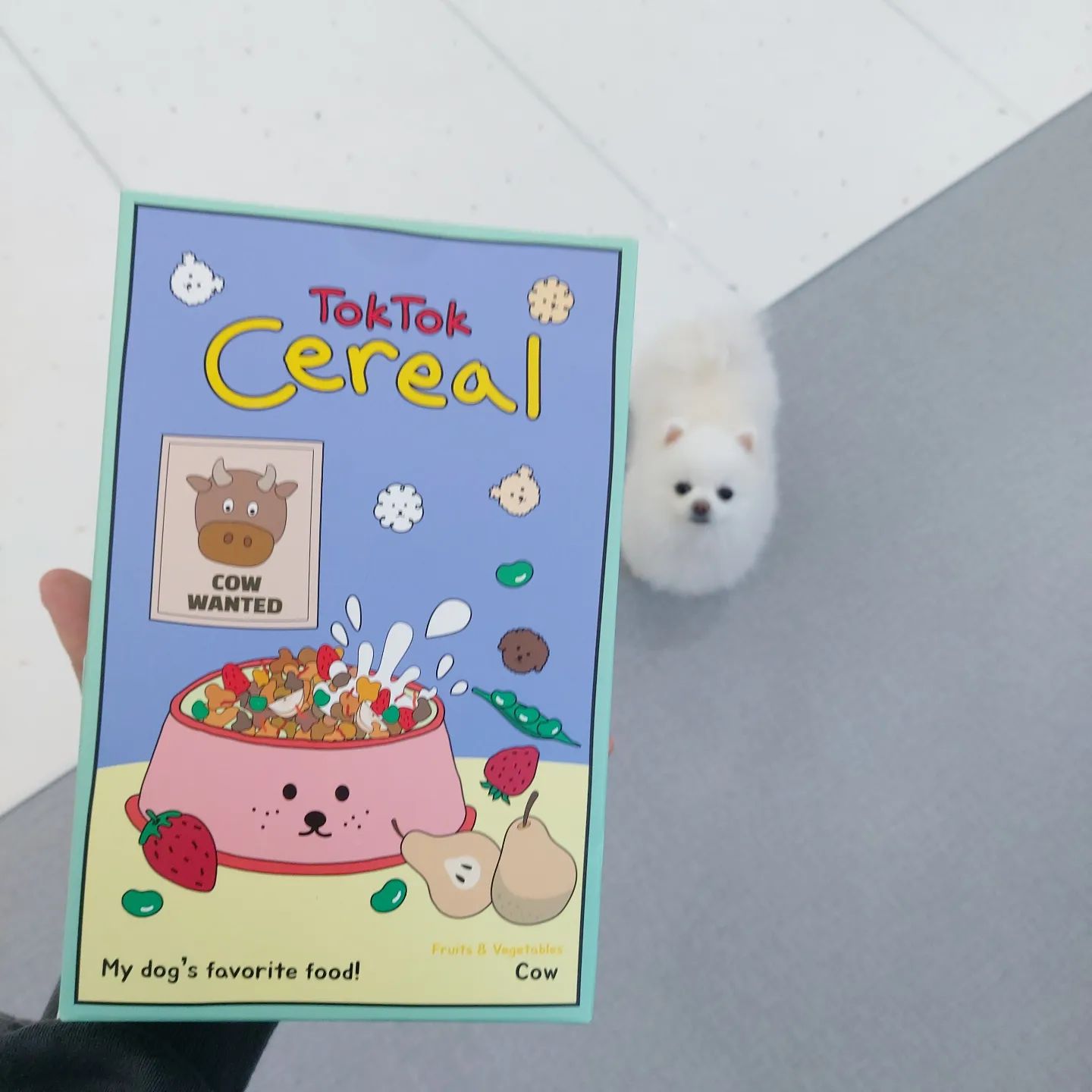 오늘 새로 산 씨리얼, 내 입에 딱이야멍🐶🍓
.
nolmung_cafe 놀멍카페에서 구매한 반려견을 위한 톡톡씨리얼!
맛있고 건강하고 간편하고 신선하고 말 다했지뭐야❤