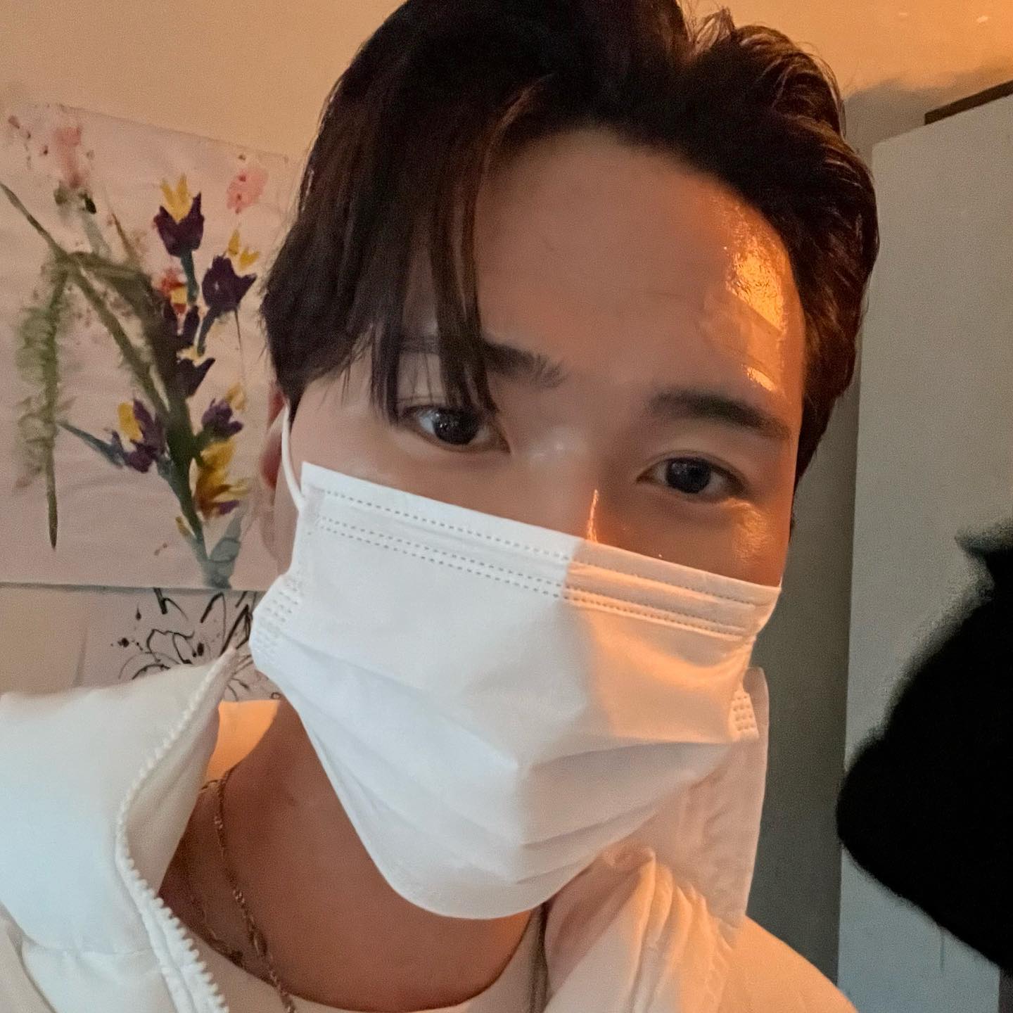 콘텐츠
