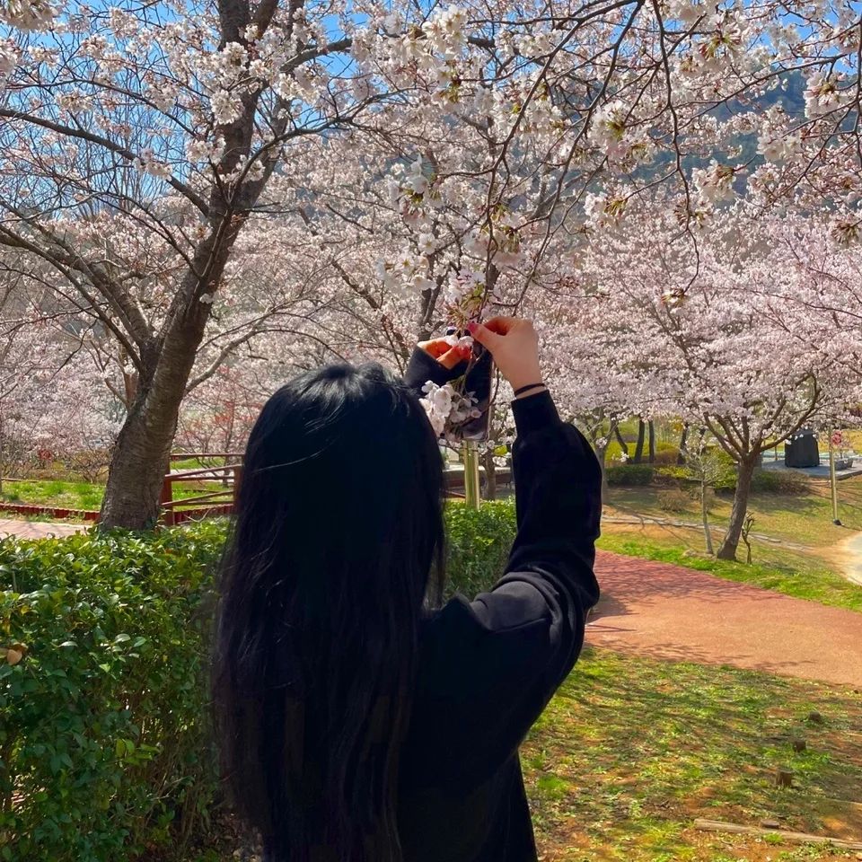 🌸

#봄 #벚꽃 #🌸
#여행 #여행스타그램 #좋아요 #첫줄반사 #좋테 #좋아요반사 #팔로우 #인친 #인친환영 #선팔 #얼스타그램
#셀피 #데일리 #소통 #일상 #맞팔 #좋아요 #좋반 #창원 #진영 #부산 #마산  #liker #likeforlikes #fff #followforfollowback #selfie