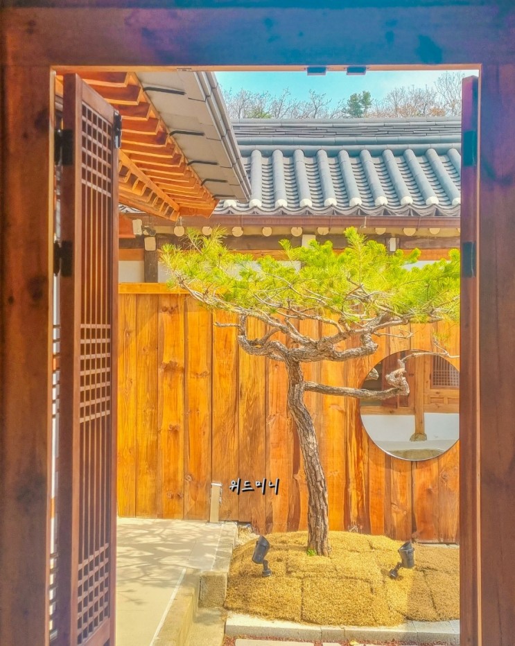 [서순라길/창덕궁/창경궁 신상카페] 한옥미 카페 "솔방울베이커리"