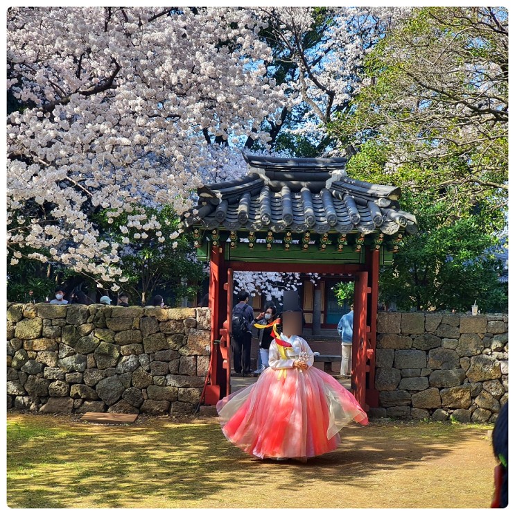제주 사진 찍기 좋은 곳 제주도 사진 명소 신산공원