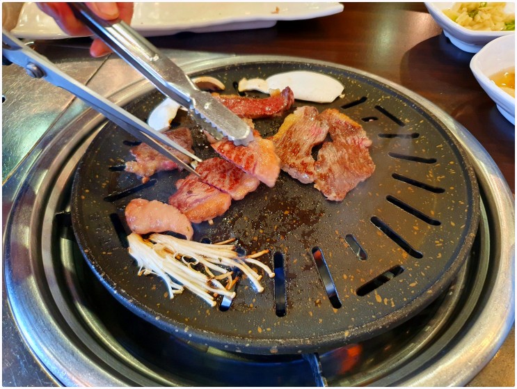 사장님 귀는 당나귀 귀 제주도 말고기 마리조아