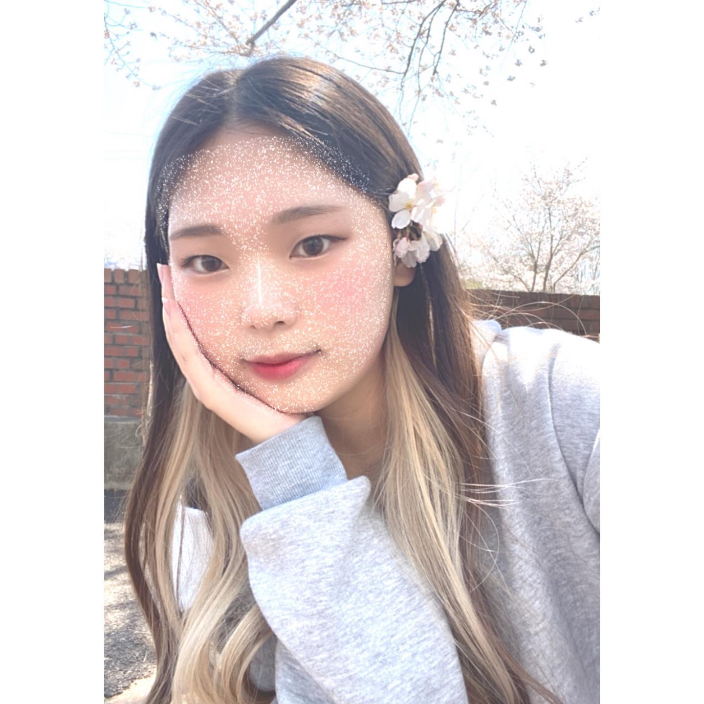 🌸