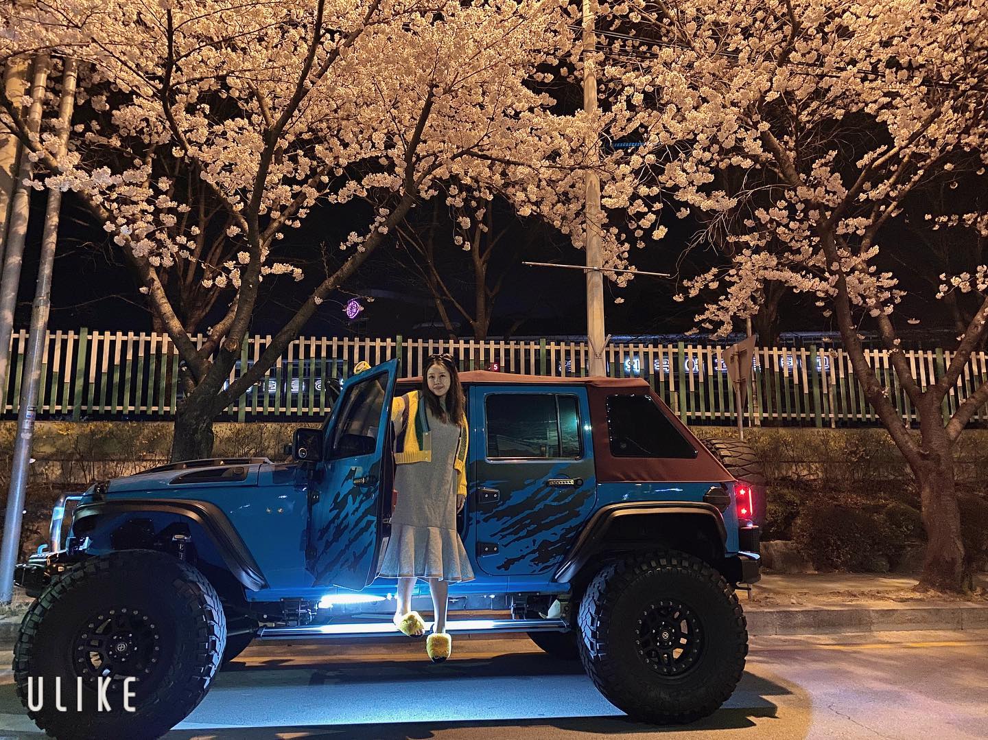 🌸 봄이 왔어요~
#금오산 #벚꽃 #봄 #구미야경