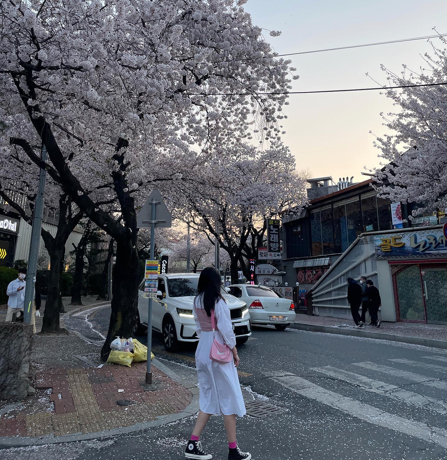 이번 꽃놀이, 너무 행복했네 (❁´▽`❁)*✲ﾟ*