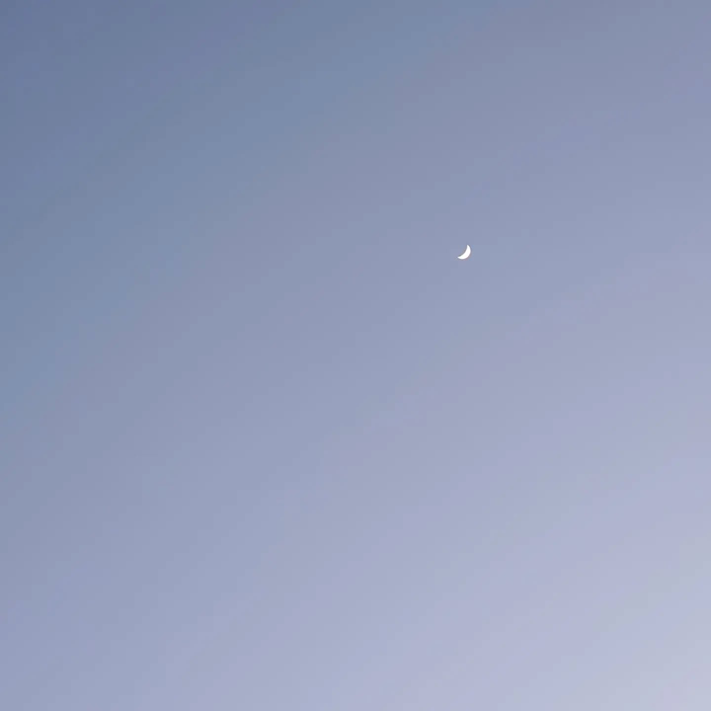 너가 너무 보고싶다