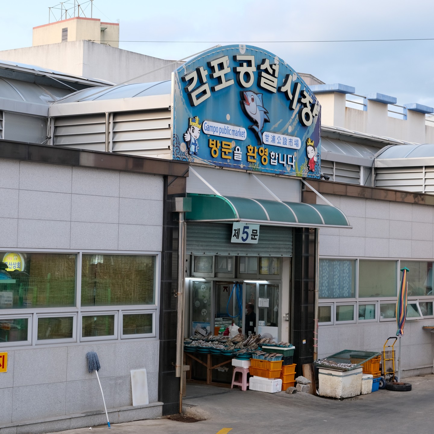 🐠 감포 공설 시장 

✔ 주차하기 편리
✔ 생선과 해산물 많이 팜
✔ 시장이 크지 않음
✔ 회말고 포장할만한게 없는 것 같다

#경주 #경주여행 #경주시장
#경주감포 #감포가볼만한곳 #감포 
#감포공설시장