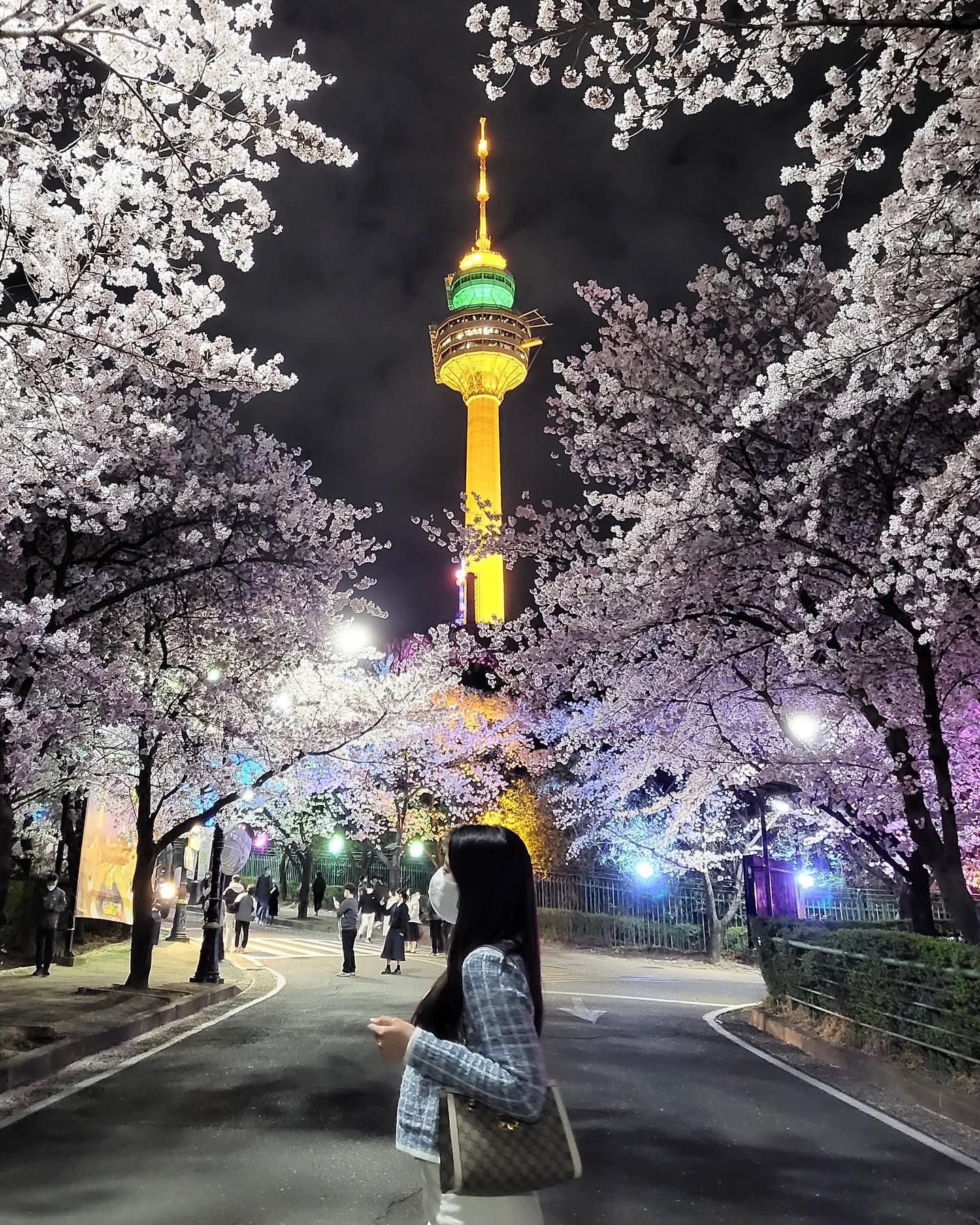 #벚꽃놀이 #🌸