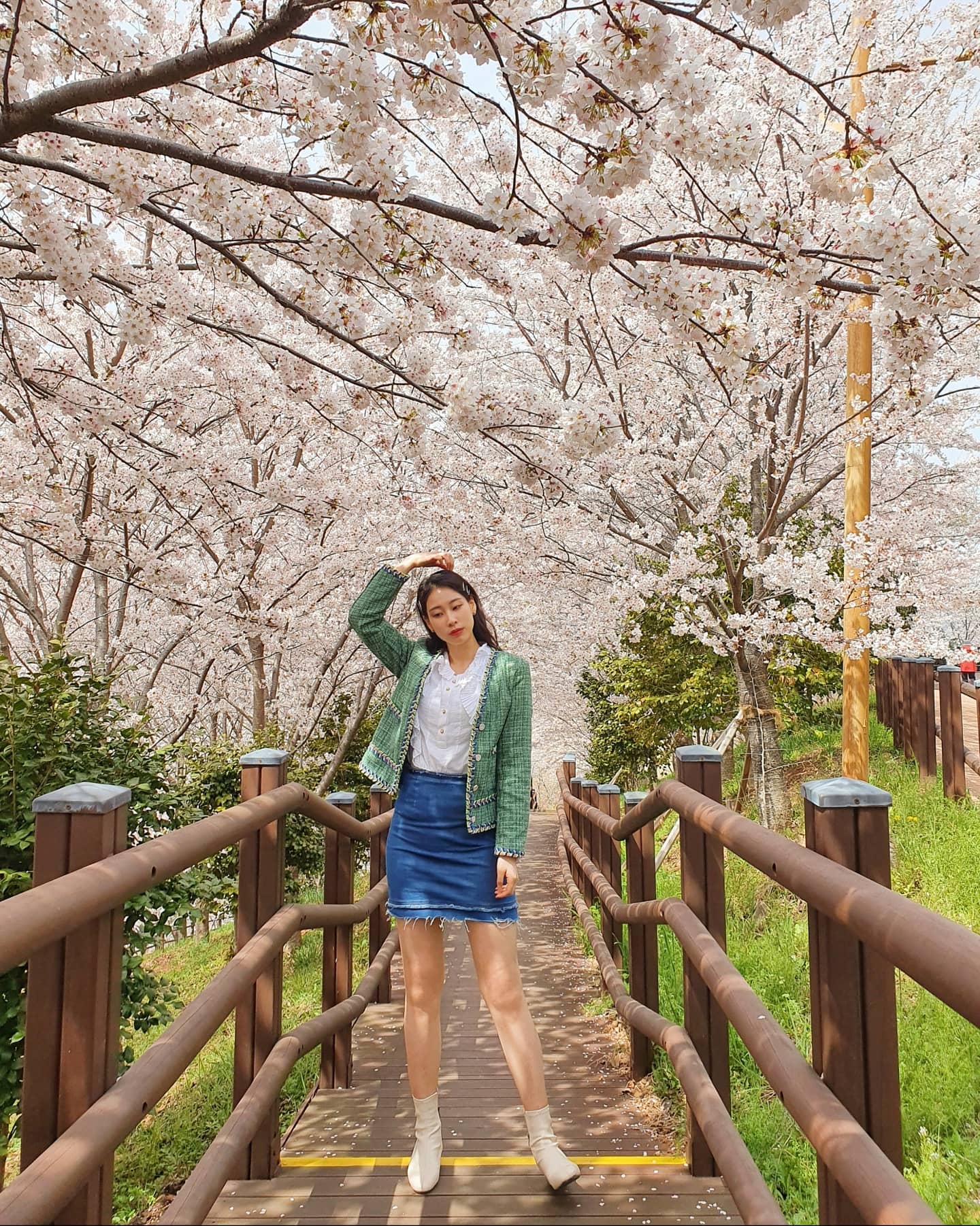 나랑 팝콘 보러갈래..?🌸🌸

벚꽃은 이번주가 피크네요!!
지기전에 날래날래 구경 하자요 🐈‍⬛💓