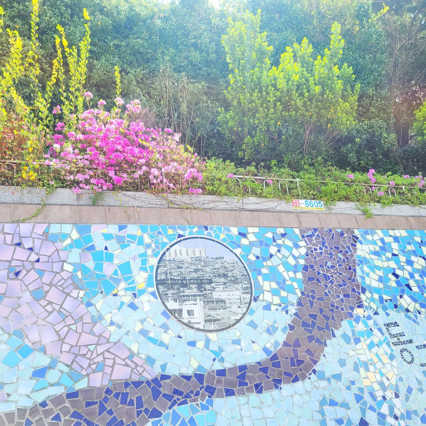 우리동네 따스한 봄을찾아 나들이

#봄이온부산 #부산동구
