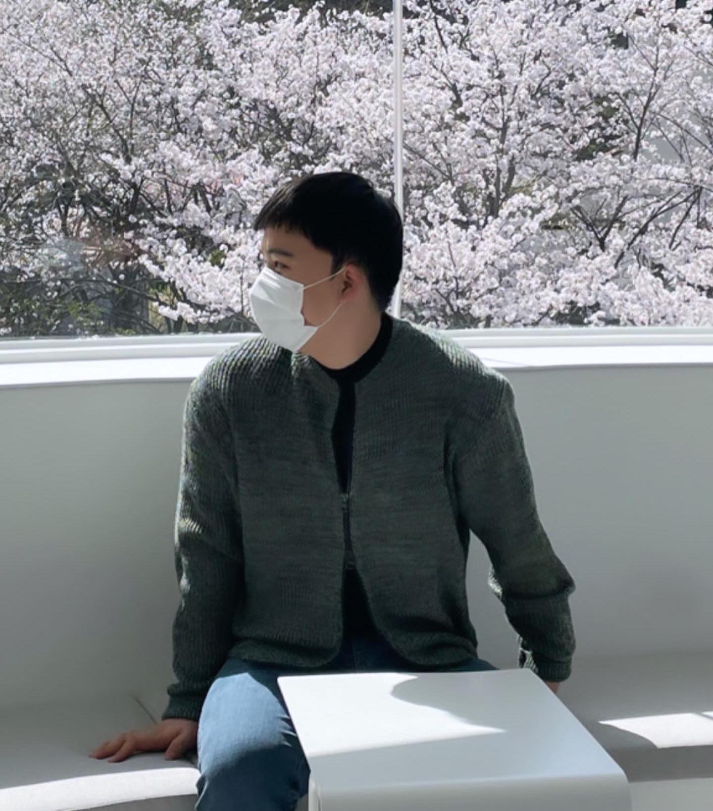 나도 벚꽃 봣다잉