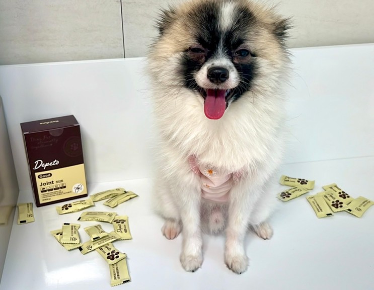 반려견의 관절건강 아프기 전 챙겨요 | 🐶뉴트리원 디페토 굿 조인트🐾