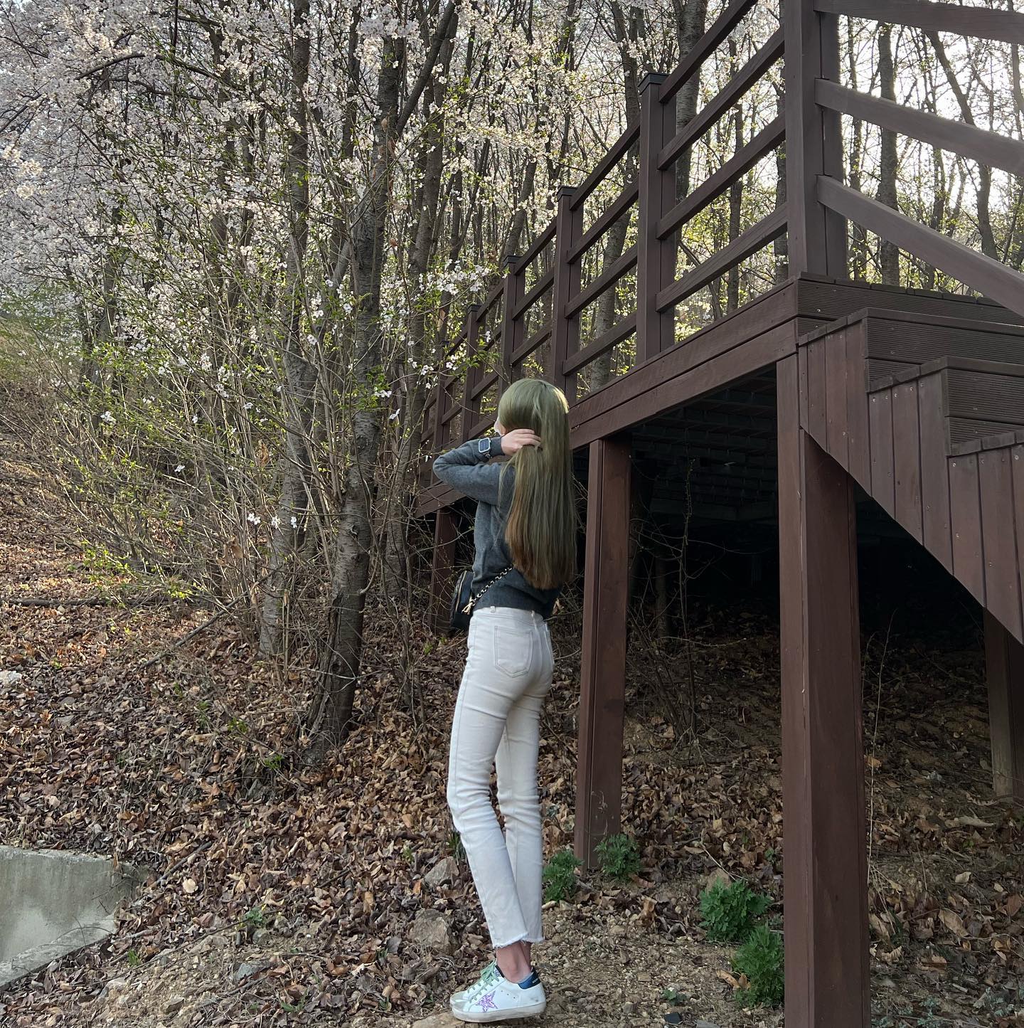 🌸🌸